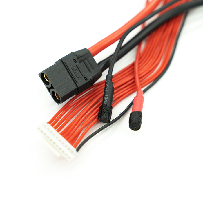10s2p P42A Battery Pack | Transparent Series