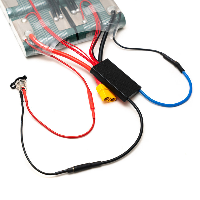 6s3p P42A Battery Pack | Transparent Series